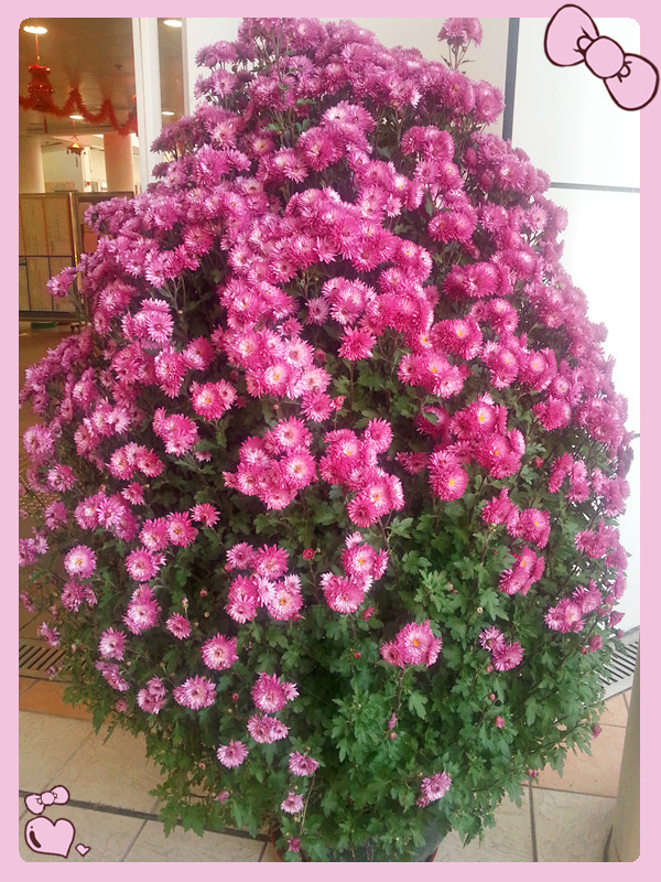 20140129_155644_.jpg