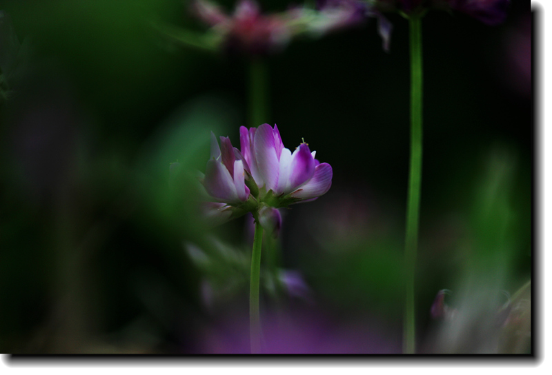 IMG_5406_副本.jpg