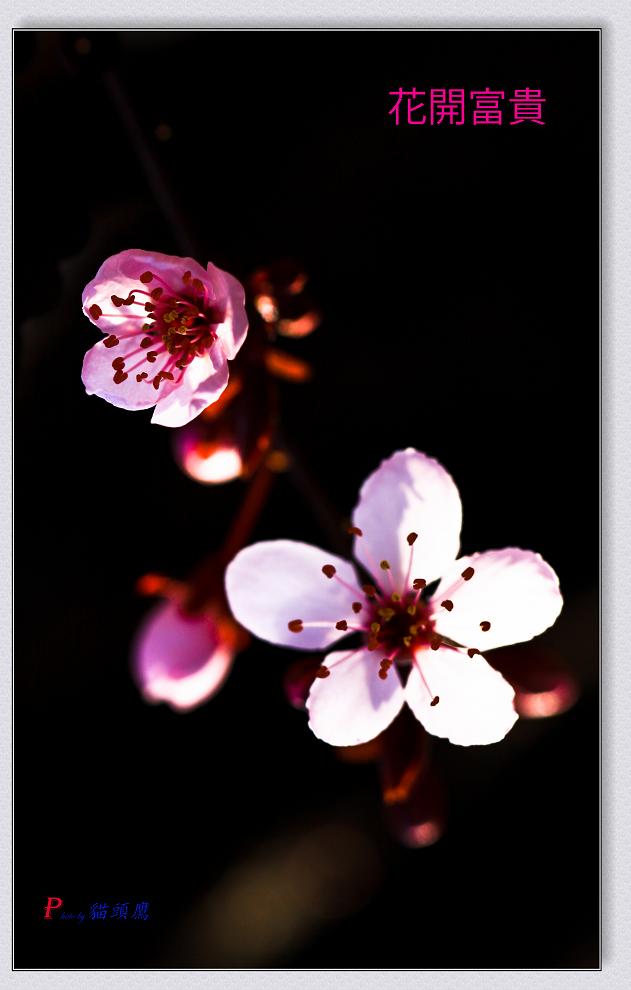 �}�u -���»�2 159-2.jpg