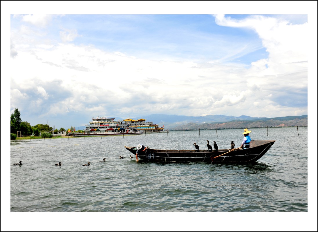 DSC_8588_conew1.jpg