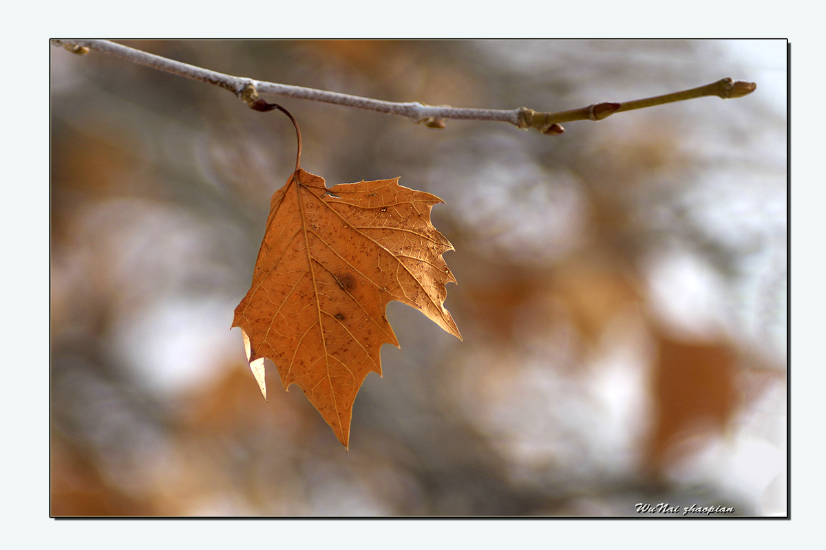 IMG_6796-1.jpg
