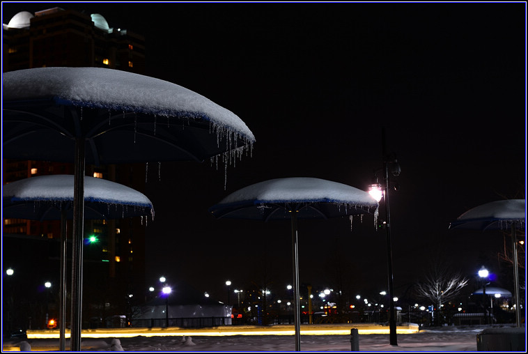 DSC_5253.jpg