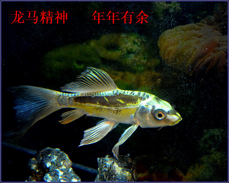 DSC_5428.jpg