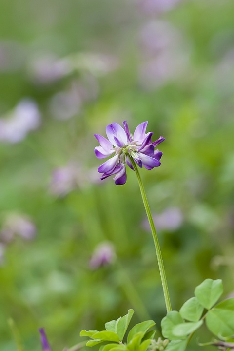 DSC_3401.jpg