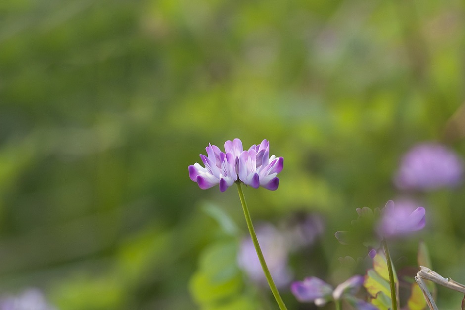 DSC_4327.jpg