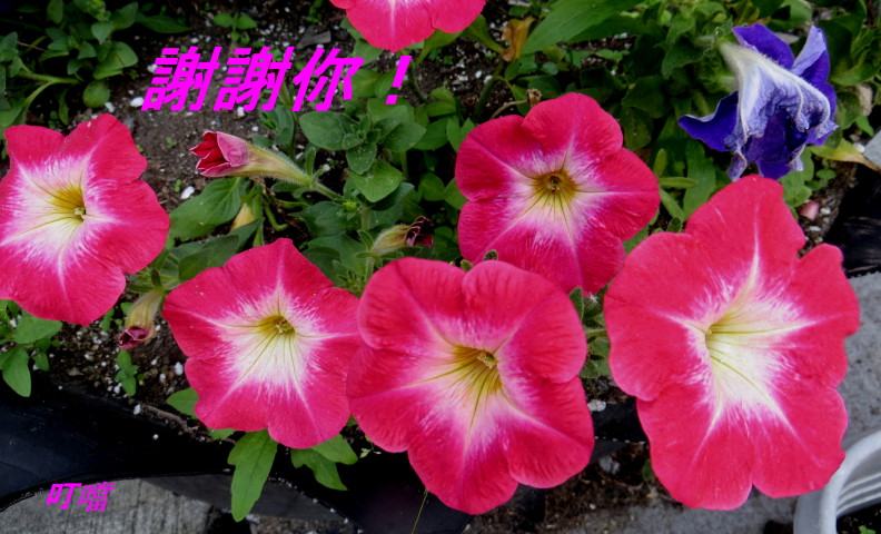 IMG_0001_6191.jpg
