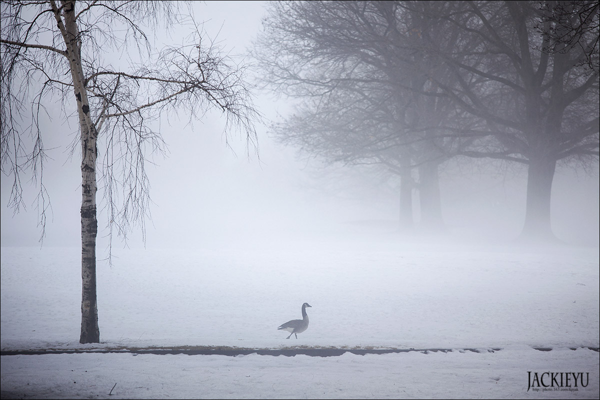 IMG_7451 ����.jpg