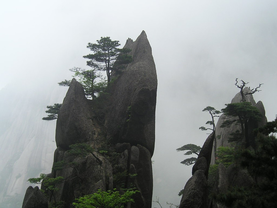 2_48530_0d0d33e47db6c85.jpg