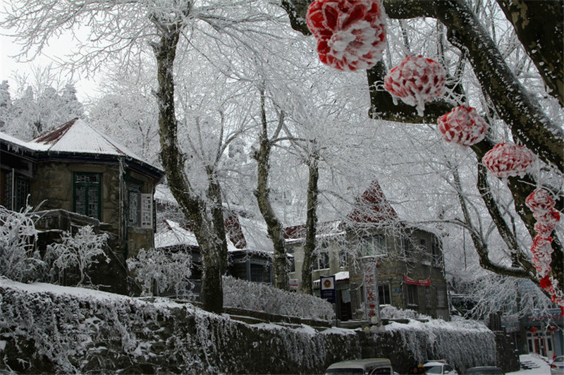 0CAATX60F.jpg