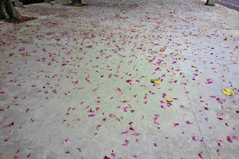 20140218_130608.jpg