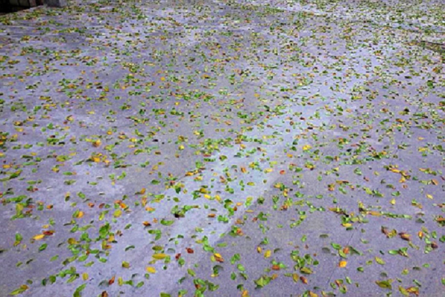 20140218_130521.jpg