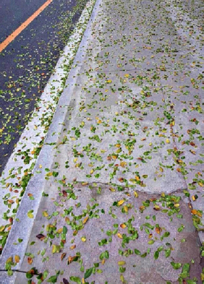 20140218_130738.jpg