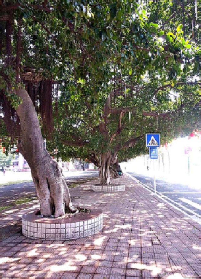 20140220_131440.jpg