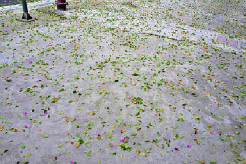 20140218_130729.jpg