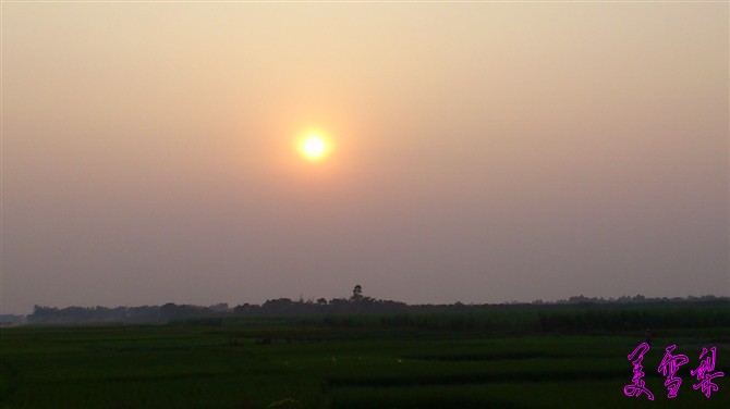 IMG_2939_conew1.jpg