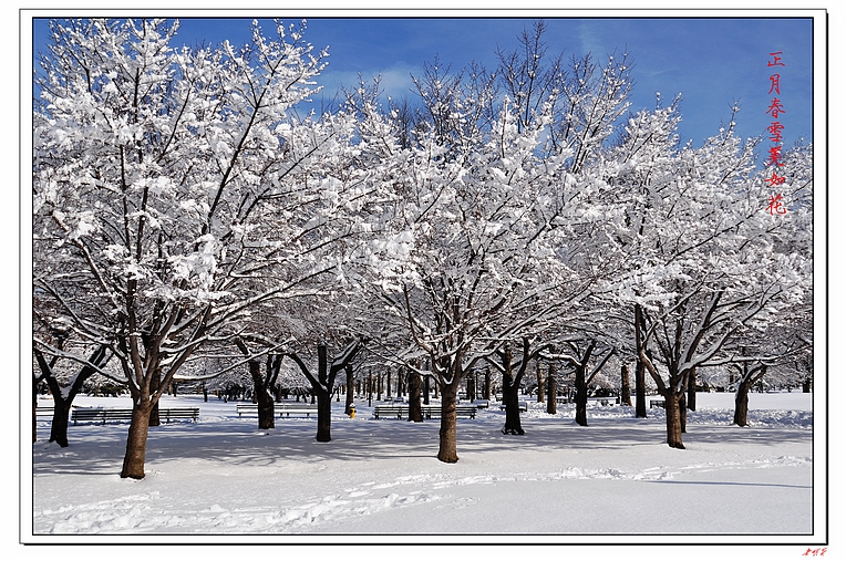 ѩ(2014)-2 121-1.jpg