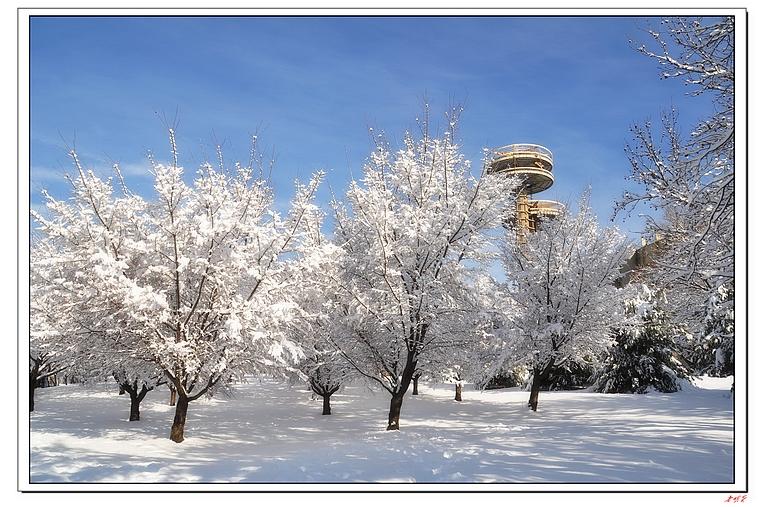 ѩ(2014)-2 101-1.jpg