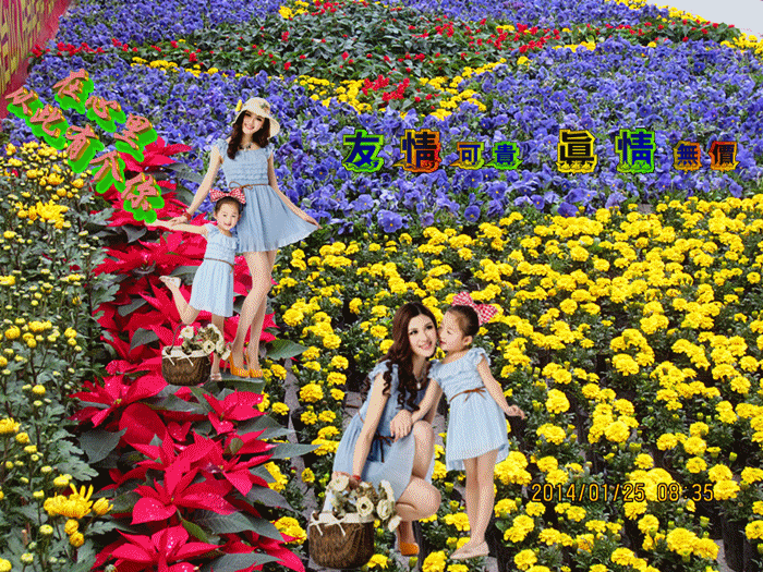 IMG_3521_副本_副本.gif