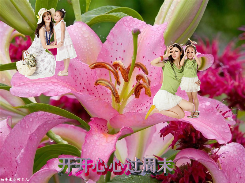 60_21403_ecc8ec993ac7fe6v_.jpg