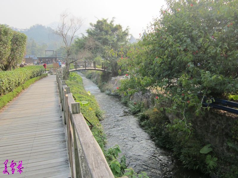 IMG_6147_conew1.JPG