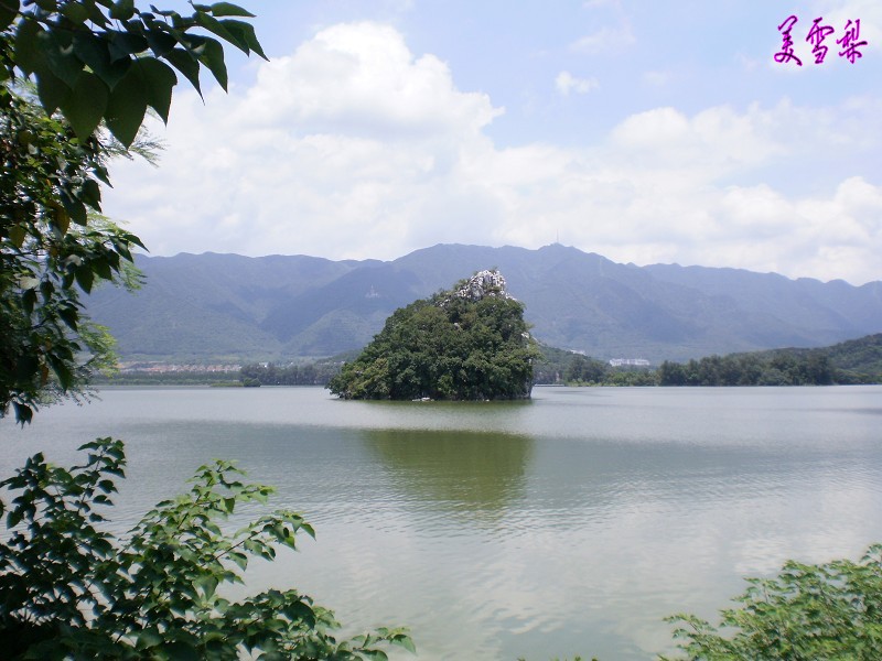 IMG_5786_conew1.jpg