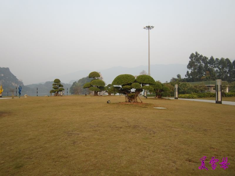 0IMG_6186_conew1.JPG