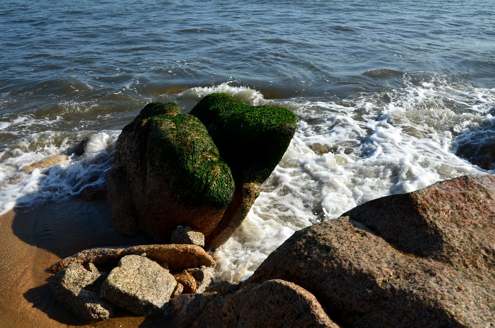 DSC_3934.jpg