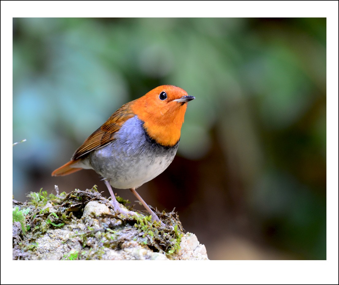 DSC_6188_conew1.jpg