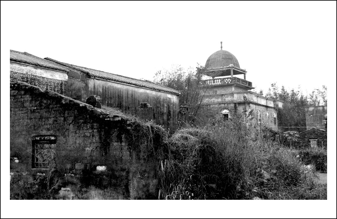 DSC_1375_conew1.jpg