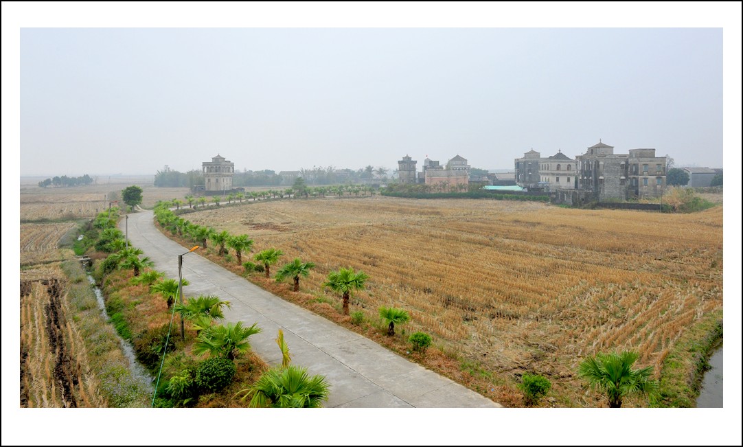 DSC_1366_conew1.jpg