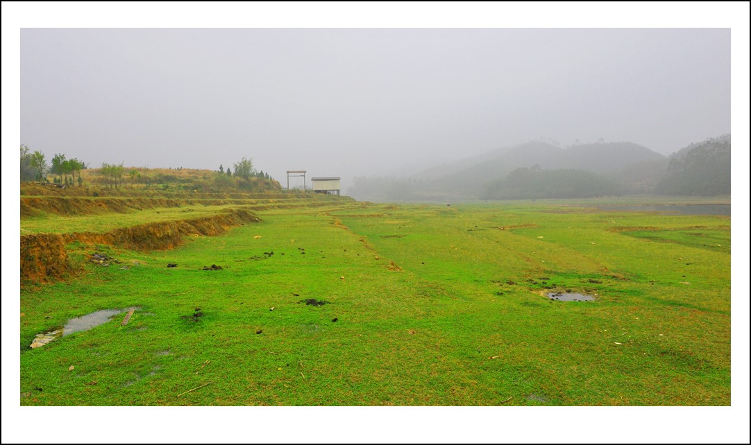 DSC_1351_conew1.jpg