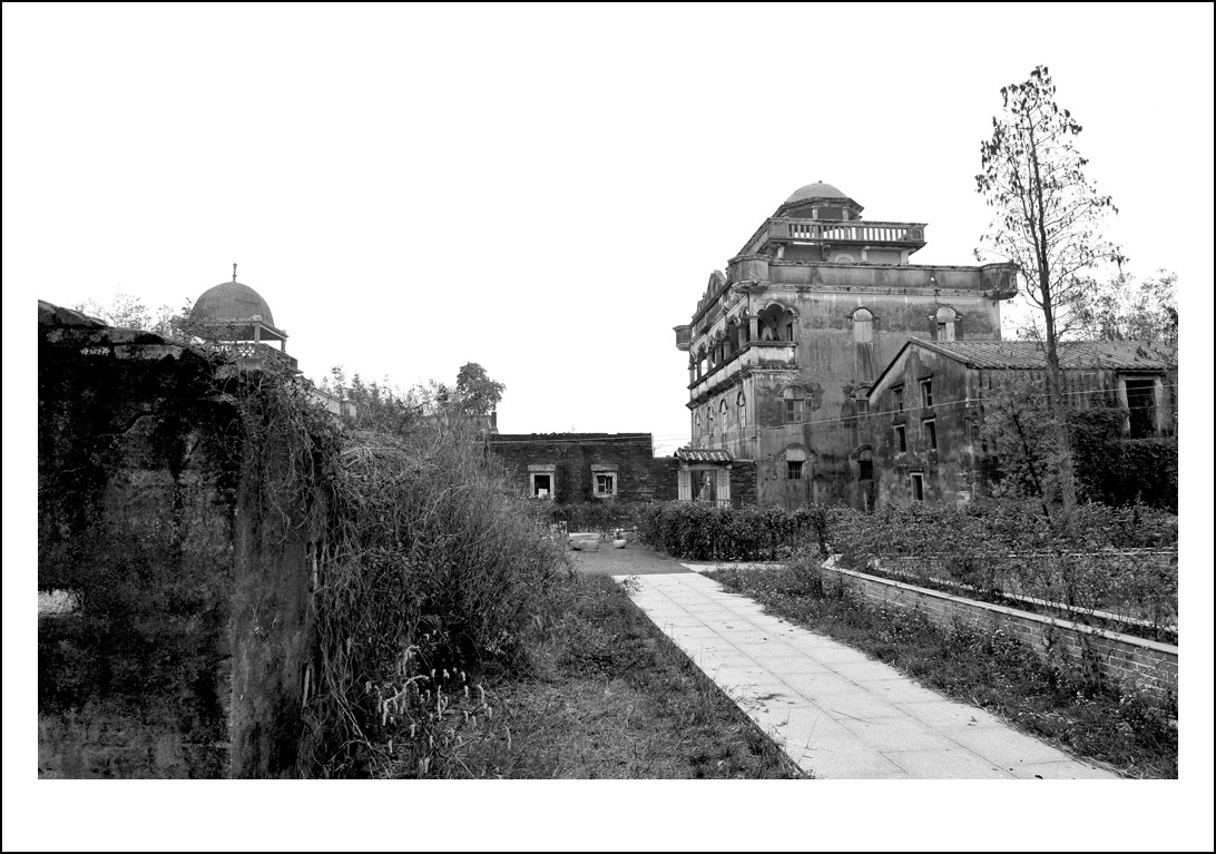 DSC_1376_conew1.jpg