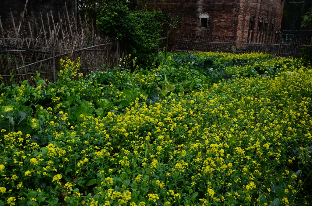 DSC_0211.JPG