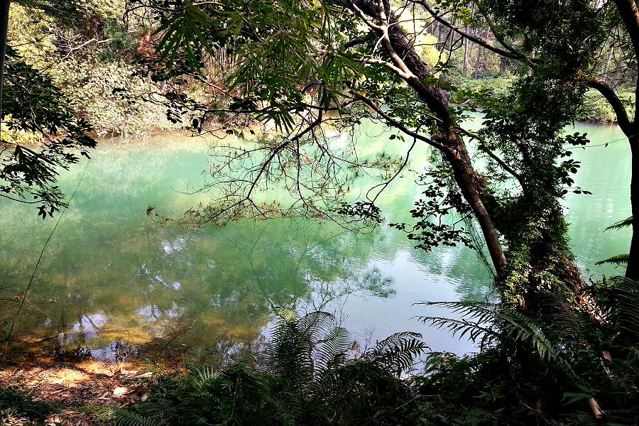 20140214_133639.jpg
