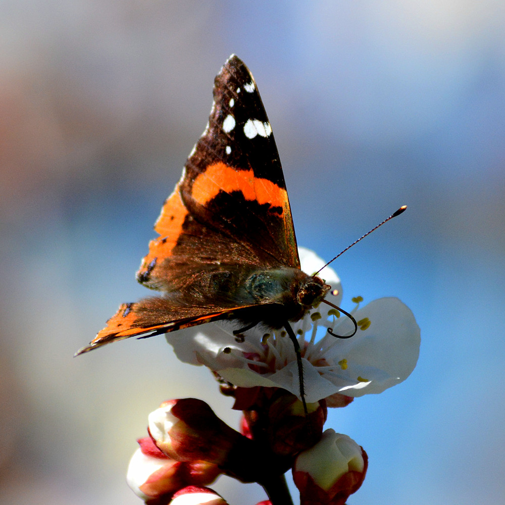 DSC_0815_7.jpg