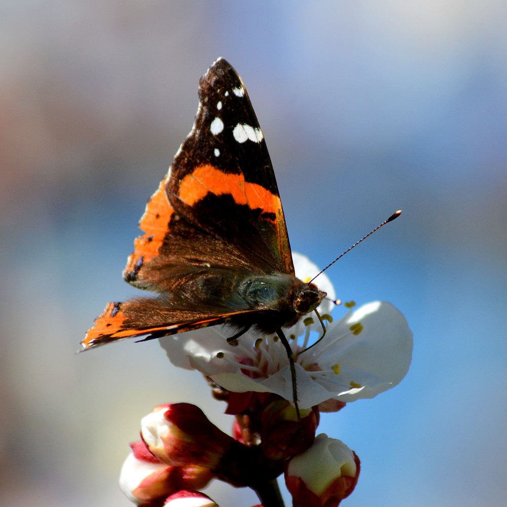 DSC_0816_8.jpg