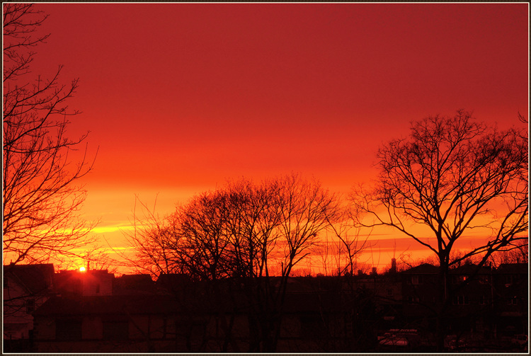 DSCN1195.jpg
