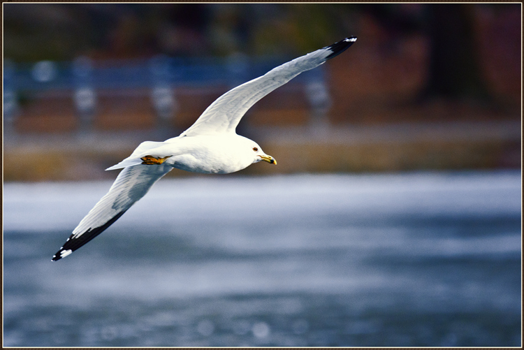 _DSC5709_.jpg