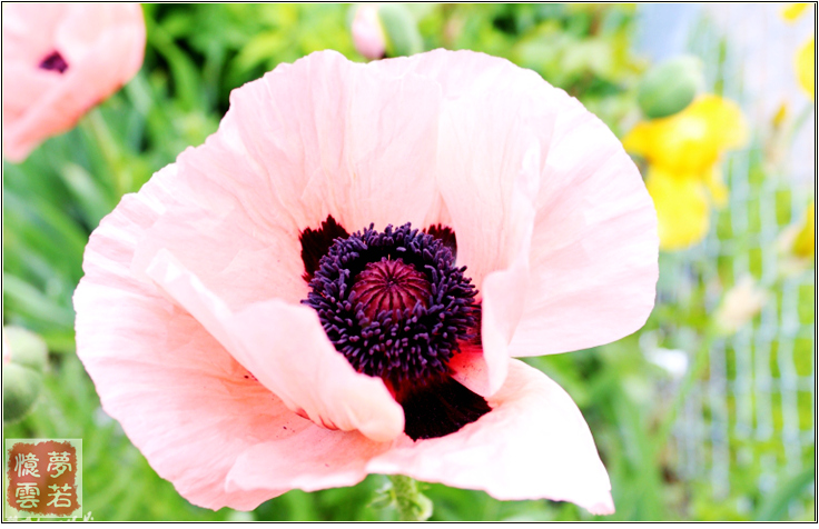 1Ƭ 087_conew1_.jpg