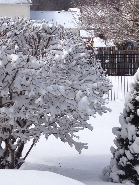 snow3.jpg