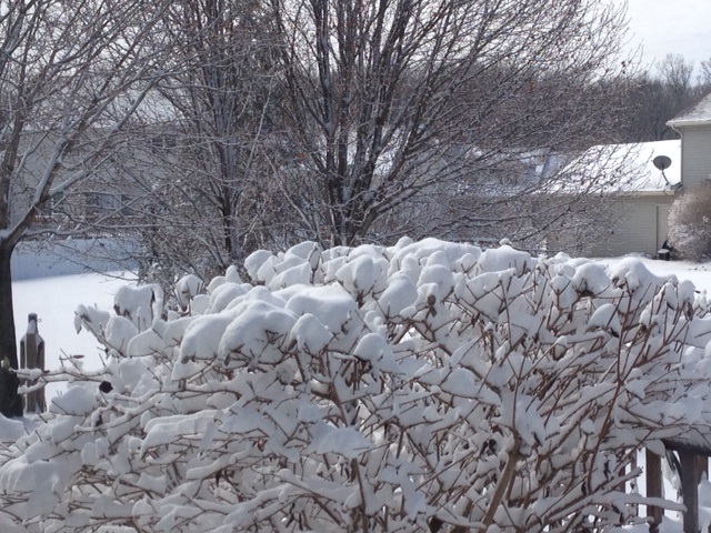 snow7.JPG