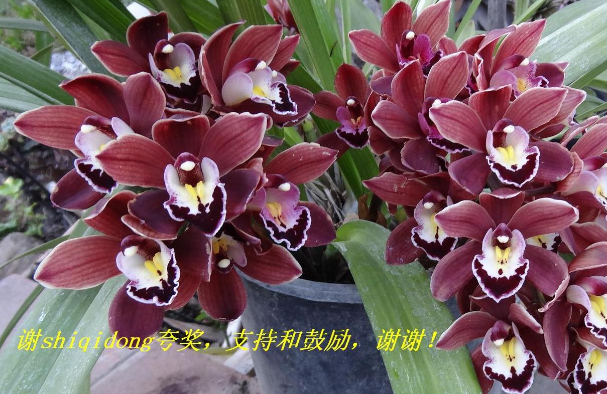 лshiqidong佱ֺ֧͹лл.JPG