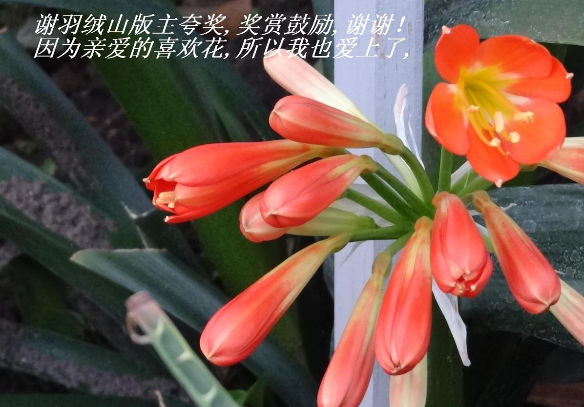 лɽ佱,͹,лл.JPG
