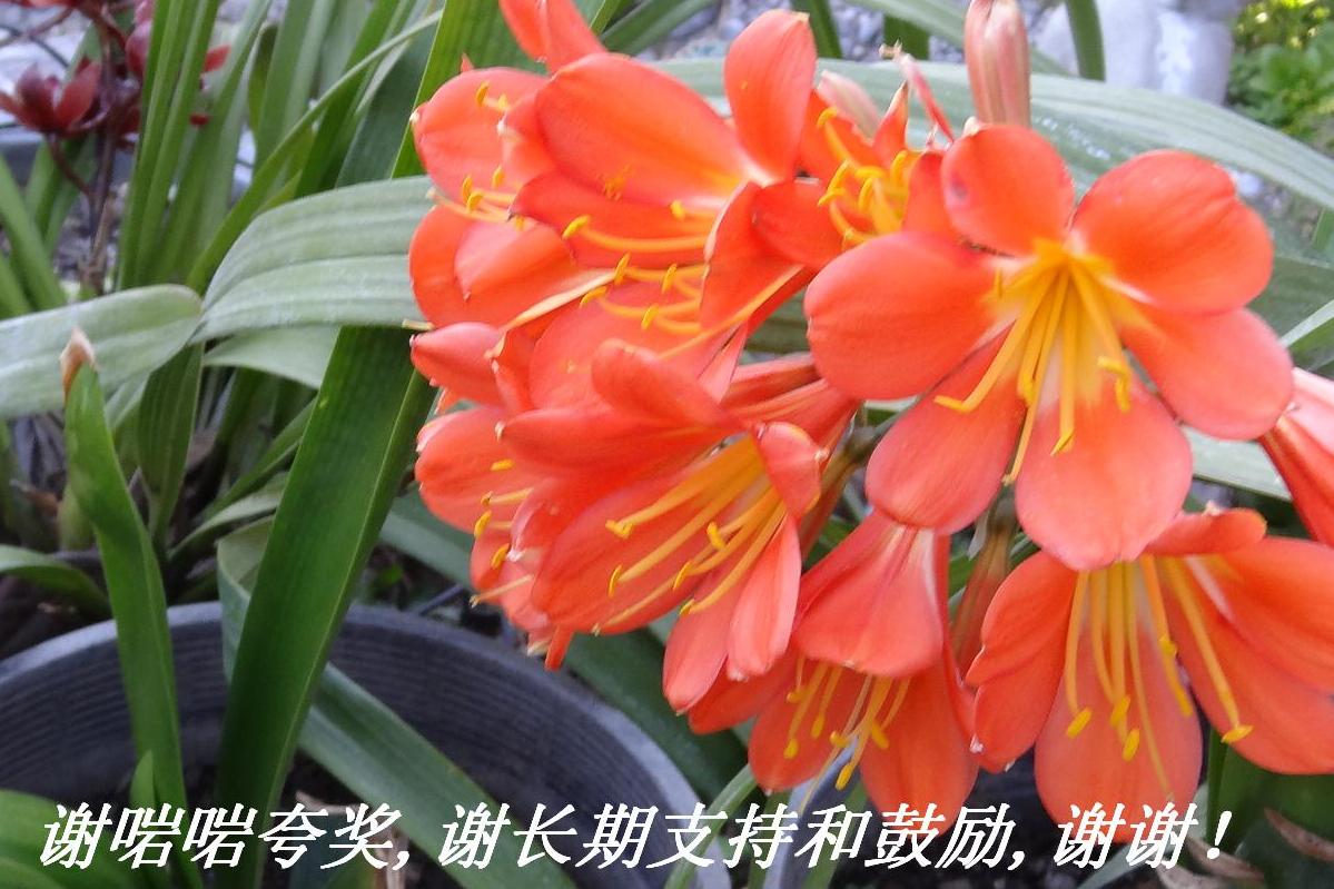 л佱лֺ֧͹лл.JPG