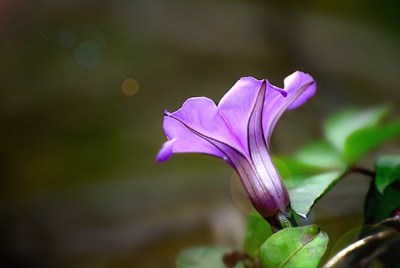 20091118192238_conew757.jpg