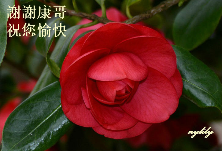 2001 - Copy (2).jpg