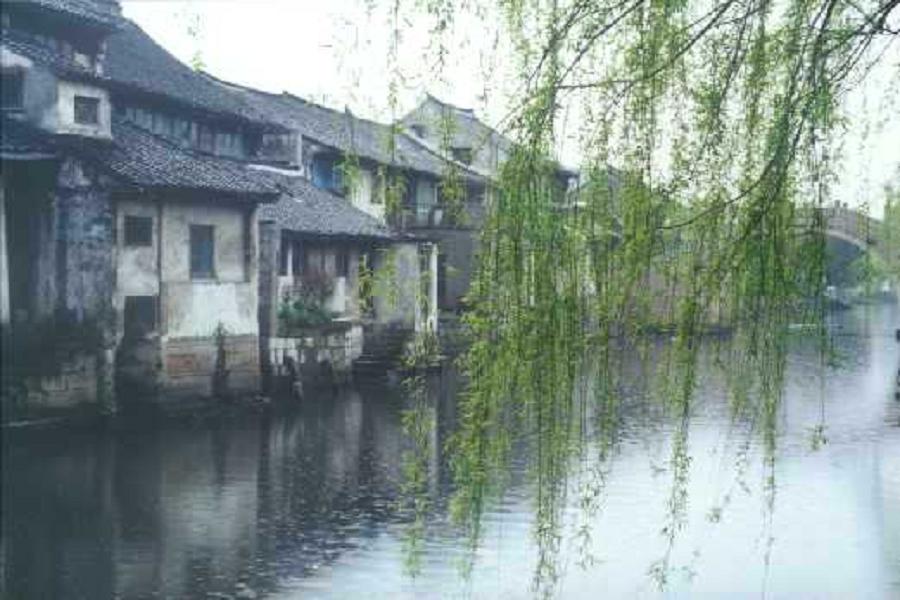 fyzw_20054592229.jpg