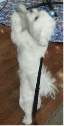 20131225_154019.jpg