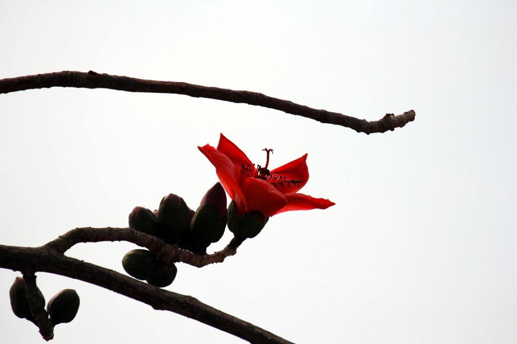 _MG_17922014--2--2.JPG