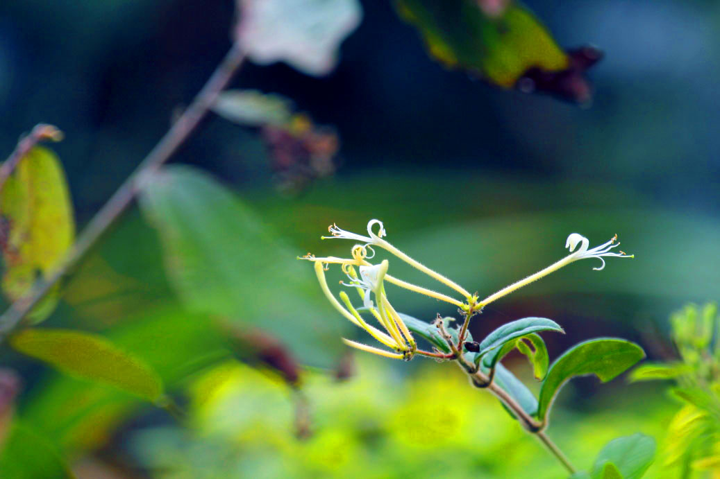 _MG_22782014--2--2.JPG